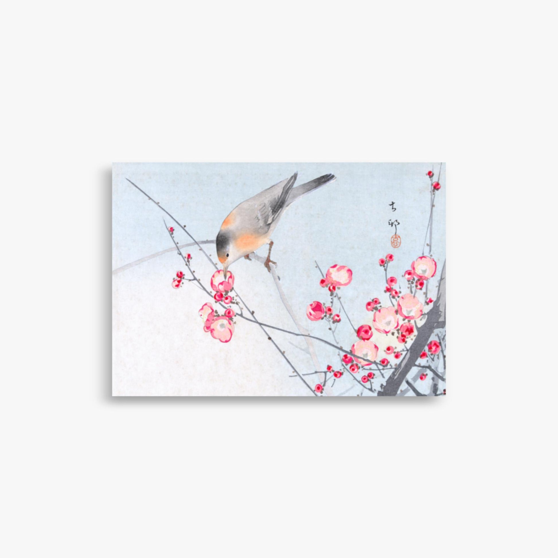 Ohara Koson - Songbird on Blossom Branch 21x30 cm Poster