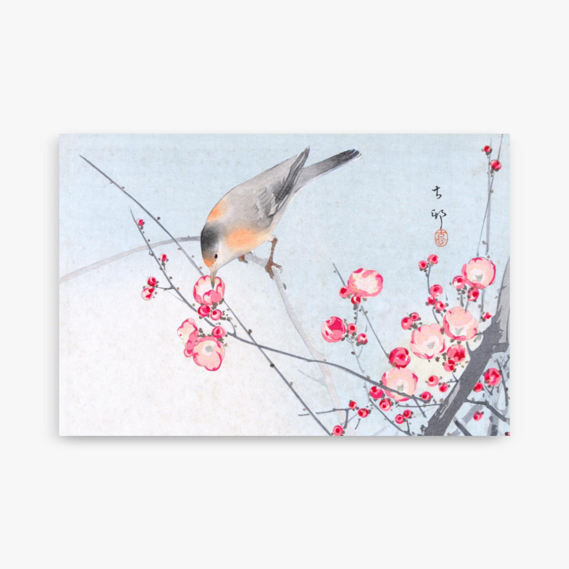 Ohara Koson - Songbird on Blossom Branch 61x91 cm Poster