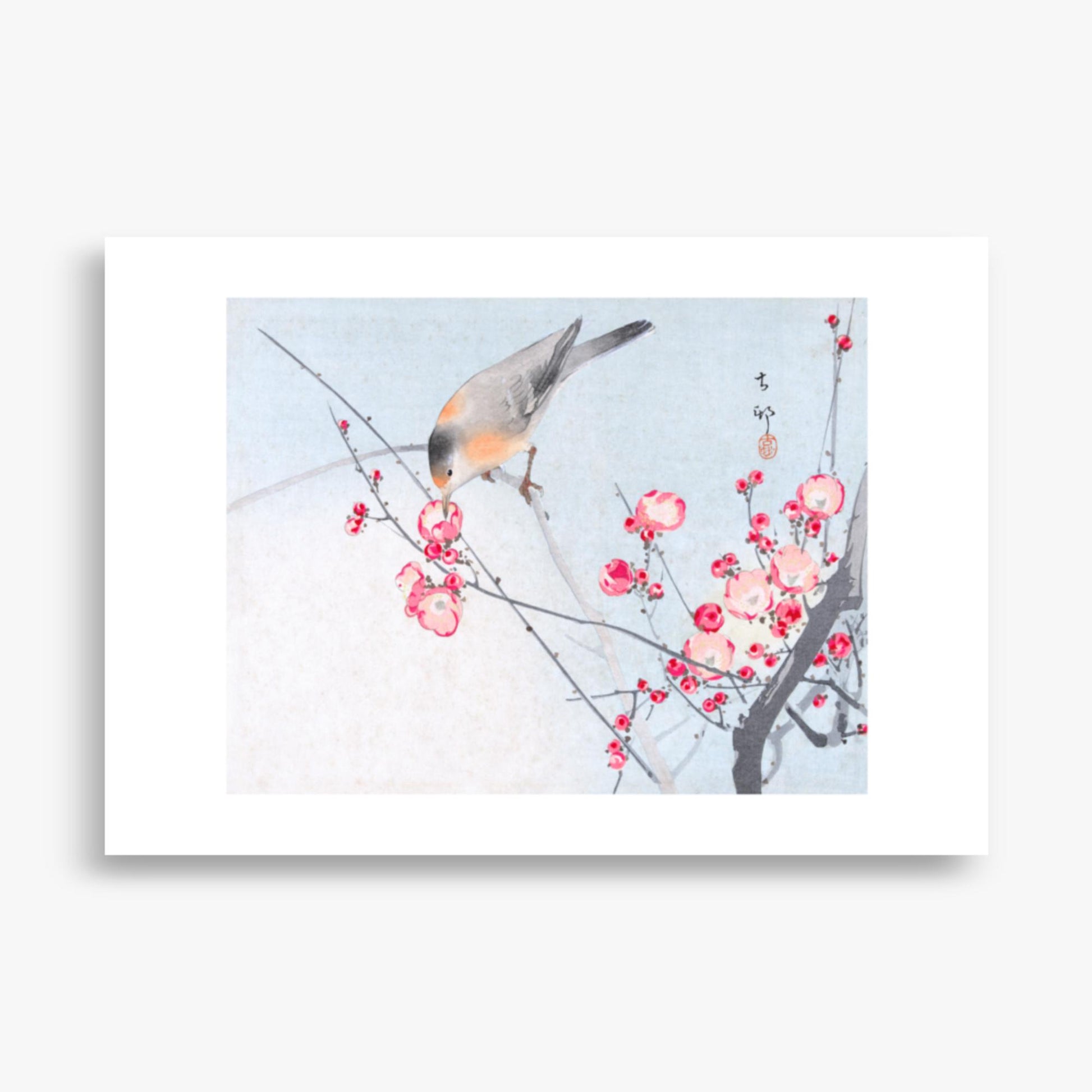 Ohara Koson - Songbird on Blossom Branch 70x100 cm Poster