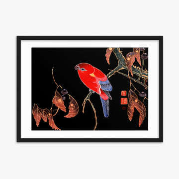 Ito Jakuchu - Red Parrot on the Branch of a Tree 50x70 cm Poster With Black Frame