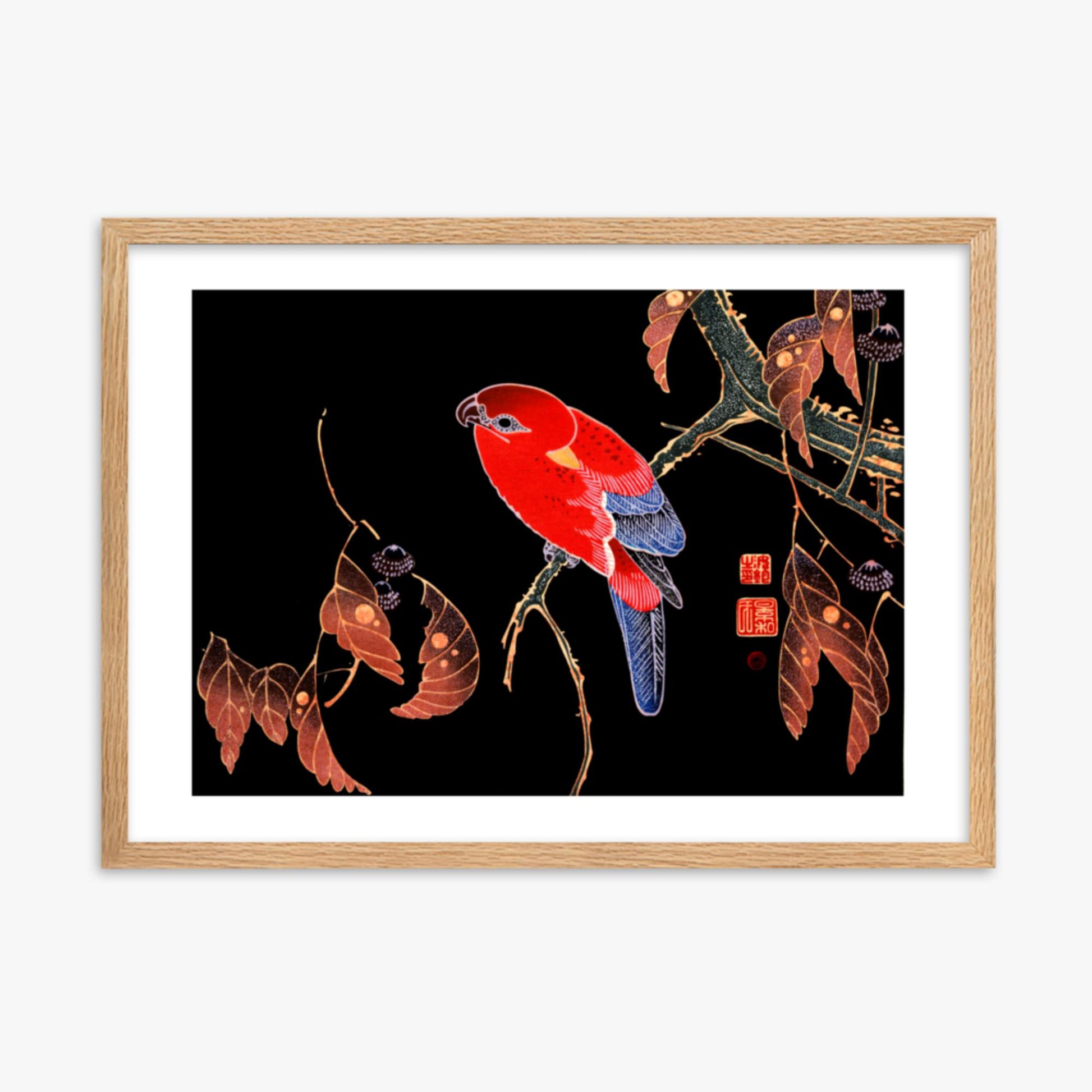 Ito Jakuchu - Red Parrot on the Branch of a Tree 50x70 cm Poster With Oak Frame