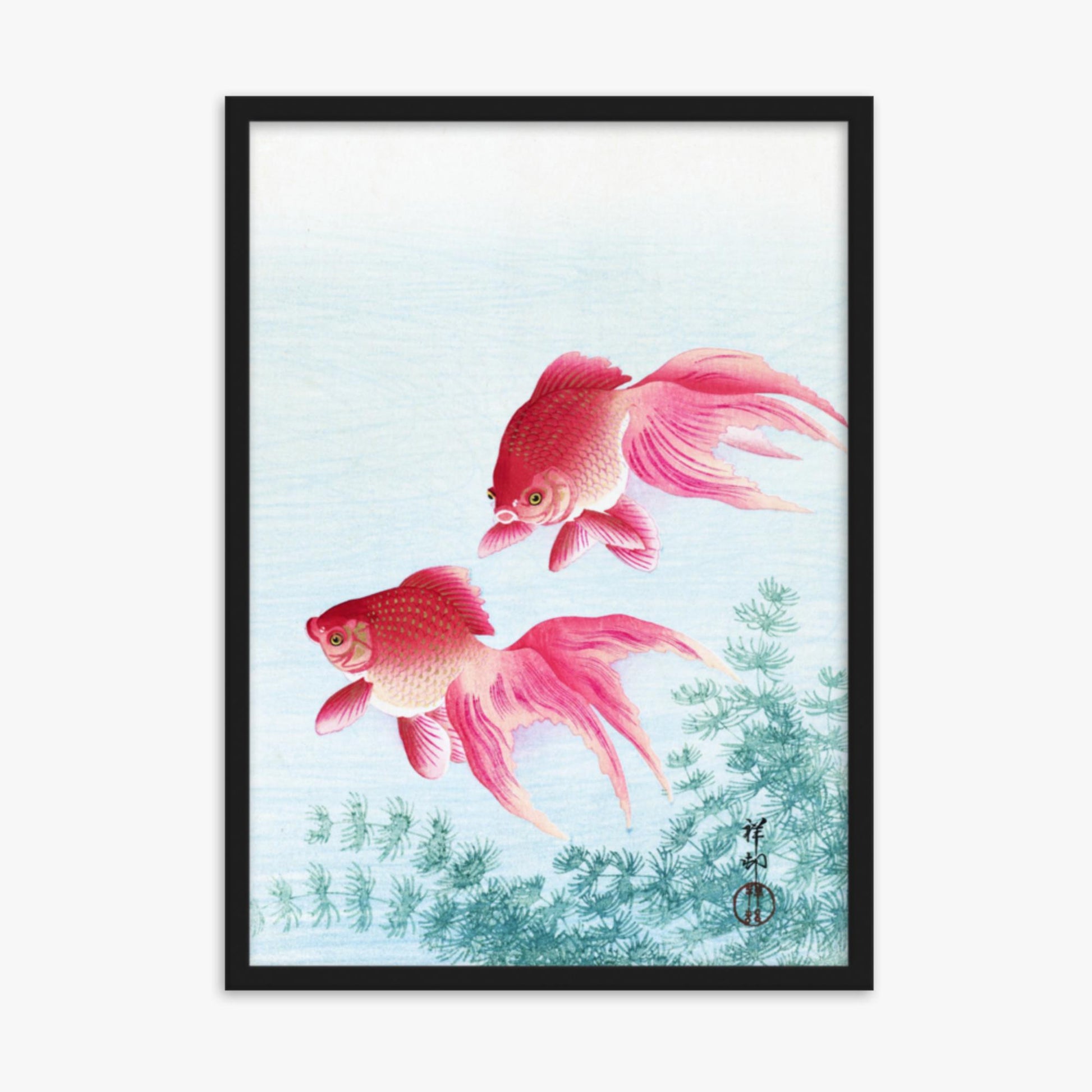 Ohara Koson - Two veil goldfish 50x70 cm Poster With Black Frame