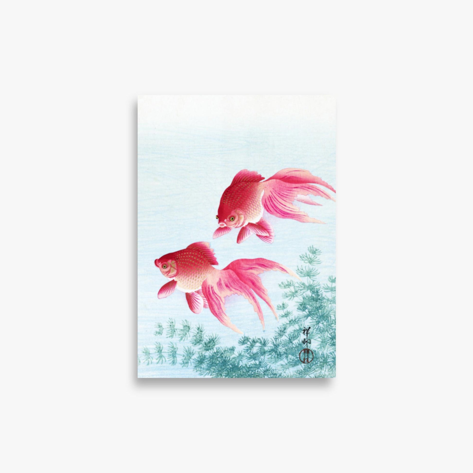 Ohara Koson - Two veil goldfish 21x30 cm Poster