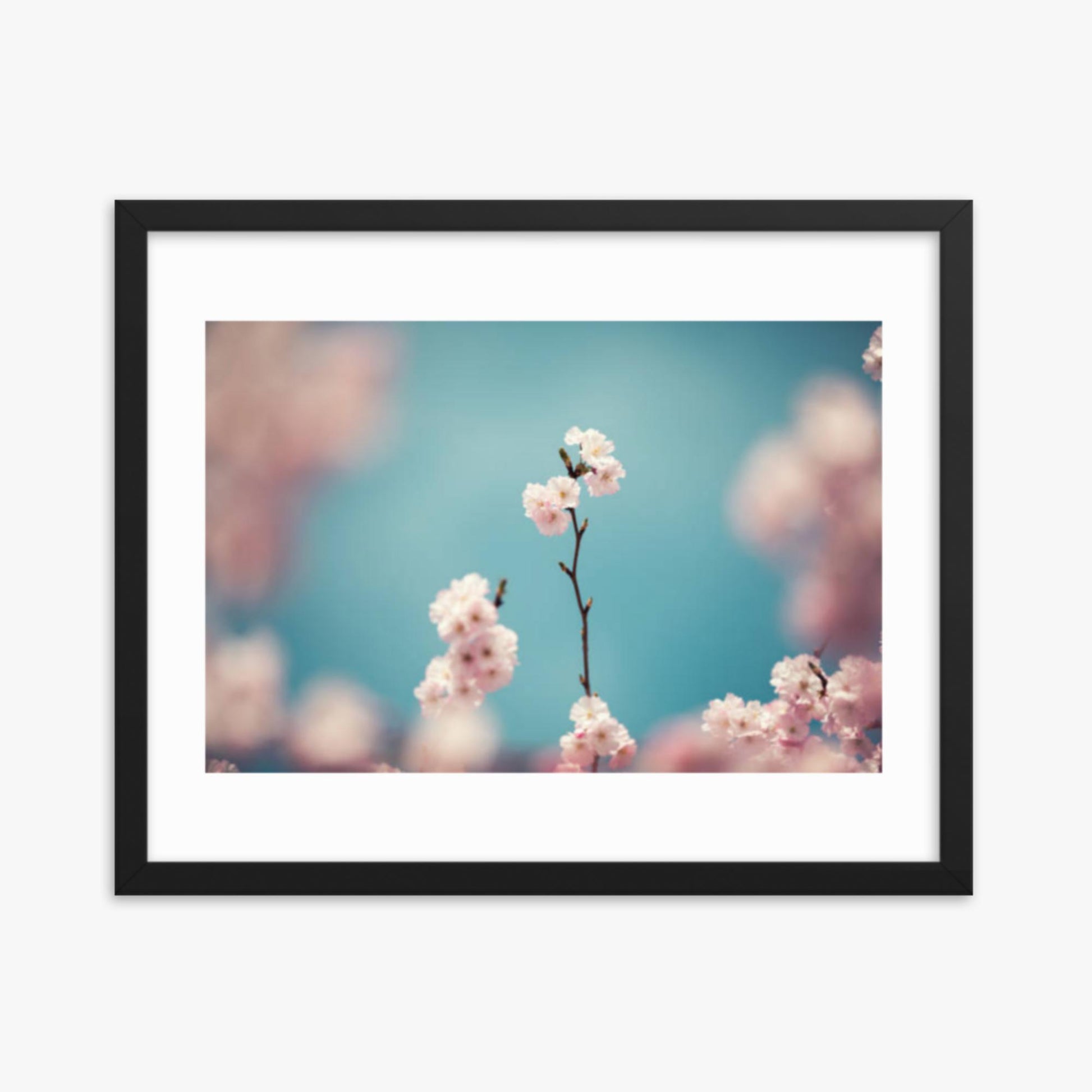 Pastel Colored Cherry Blossoms 16x20 in Poster With Black Frame