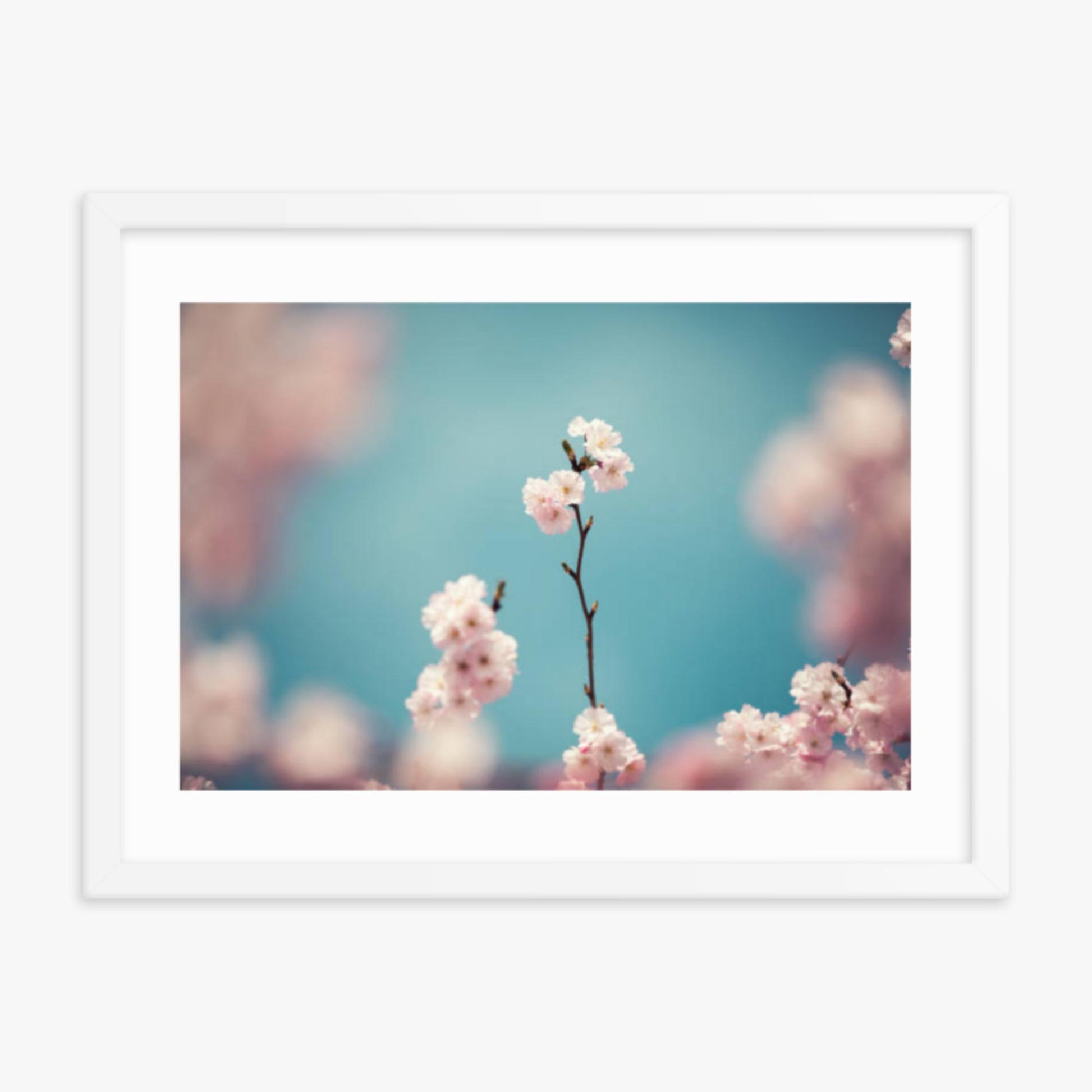 Pastel Colored Cherry Blossoms 18x24 in Poster With White Frame