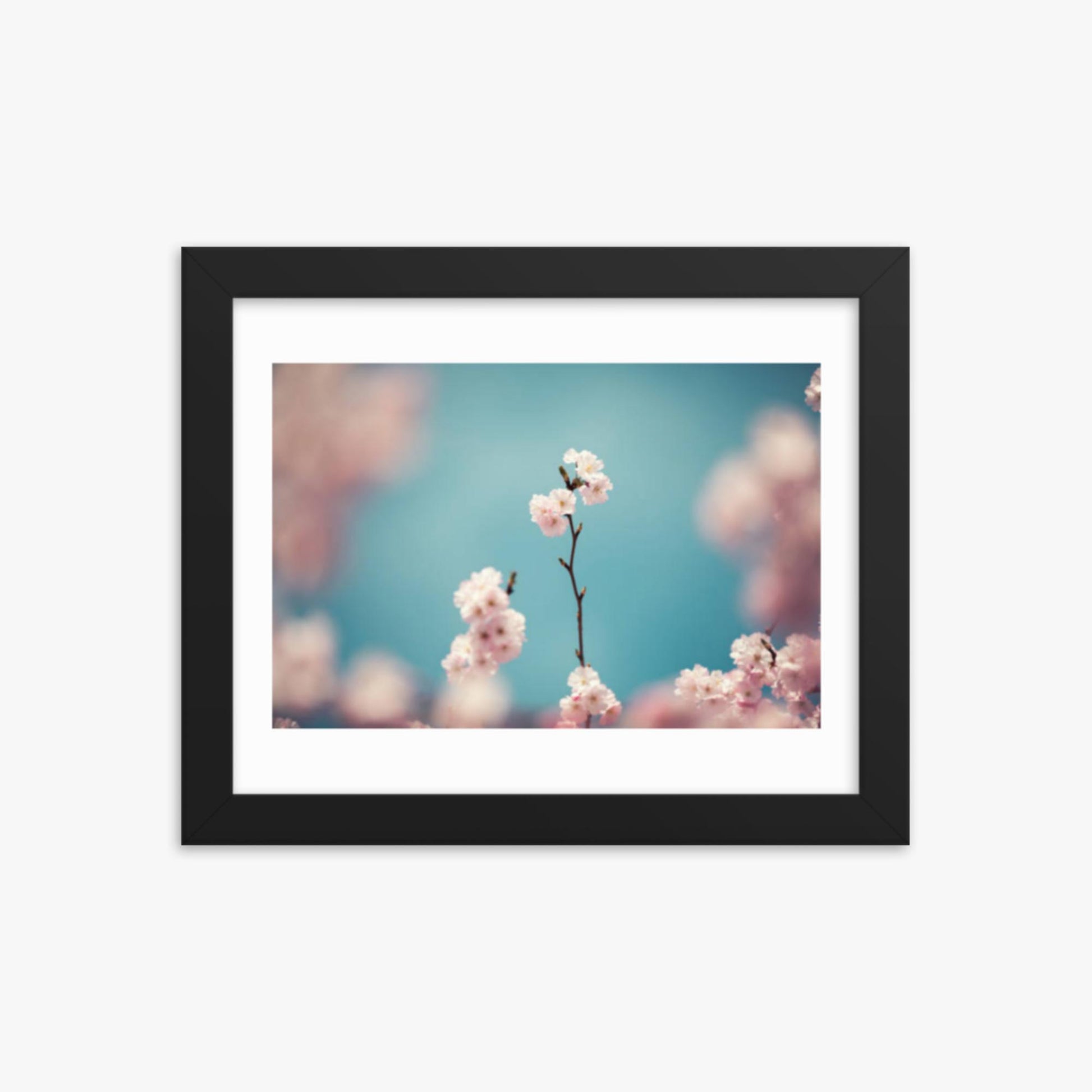 Pastel Colored Cherry Blossoms 8x10 in Poster With Black Frame