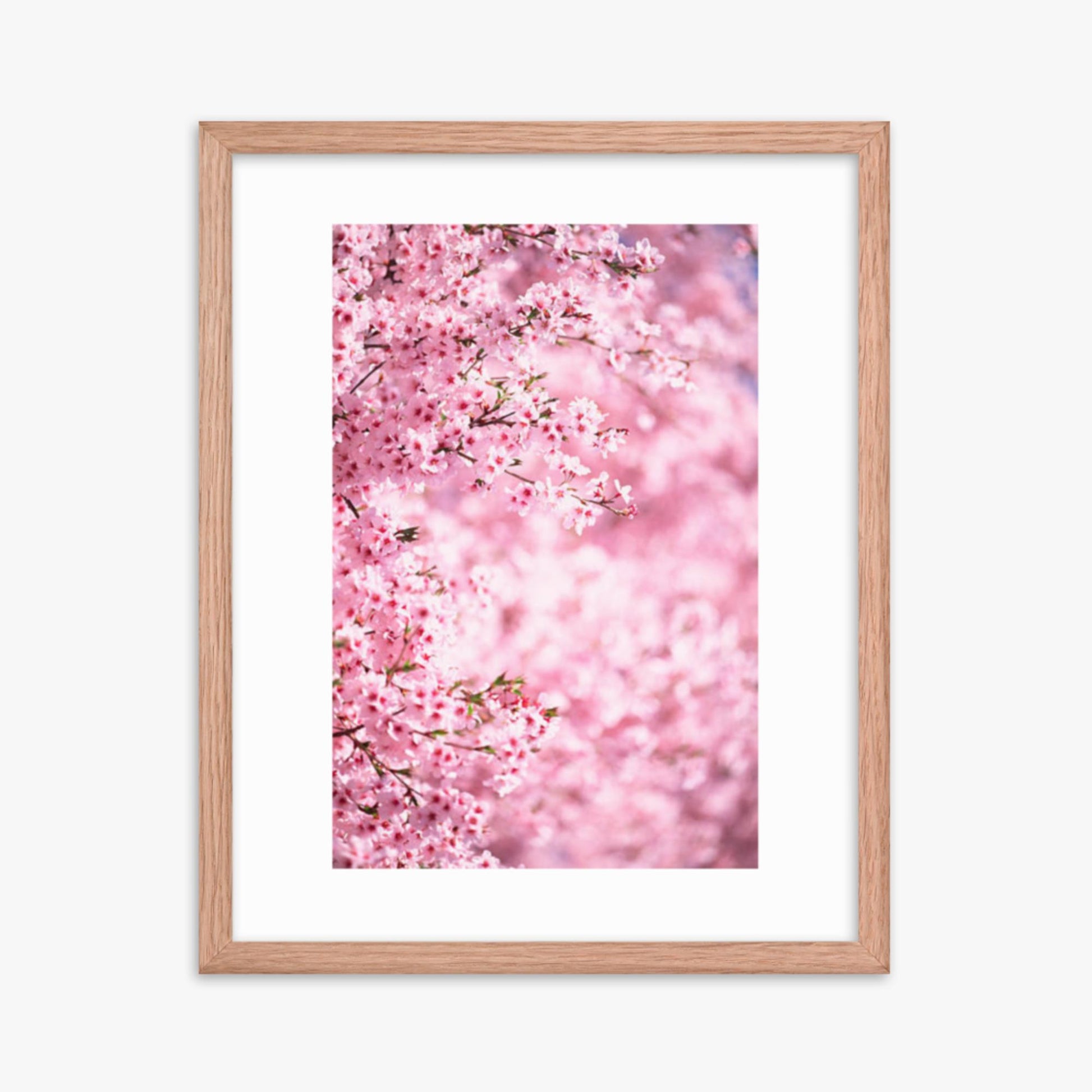 Pink Cherry Blossoms 2 16x20 in Poster With Oak Frame