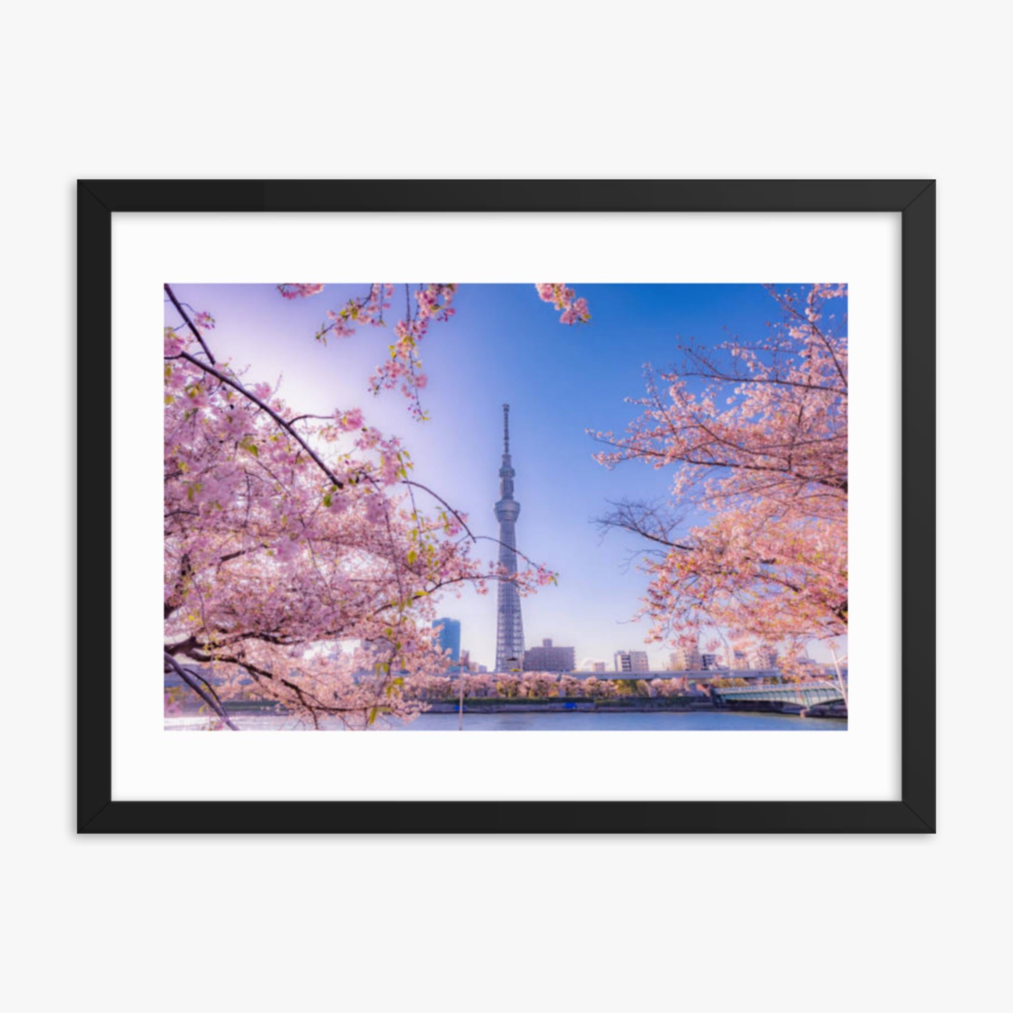 Cherry blossom and building at Asakusa Sumida Park 18x24 in Poster With Black Frame