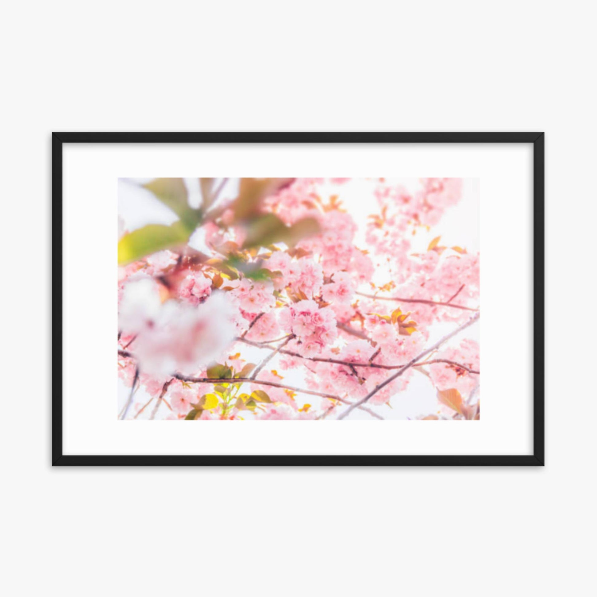 Cherry blossom flowers and sunshine 24x36 in Poster With Black Frame