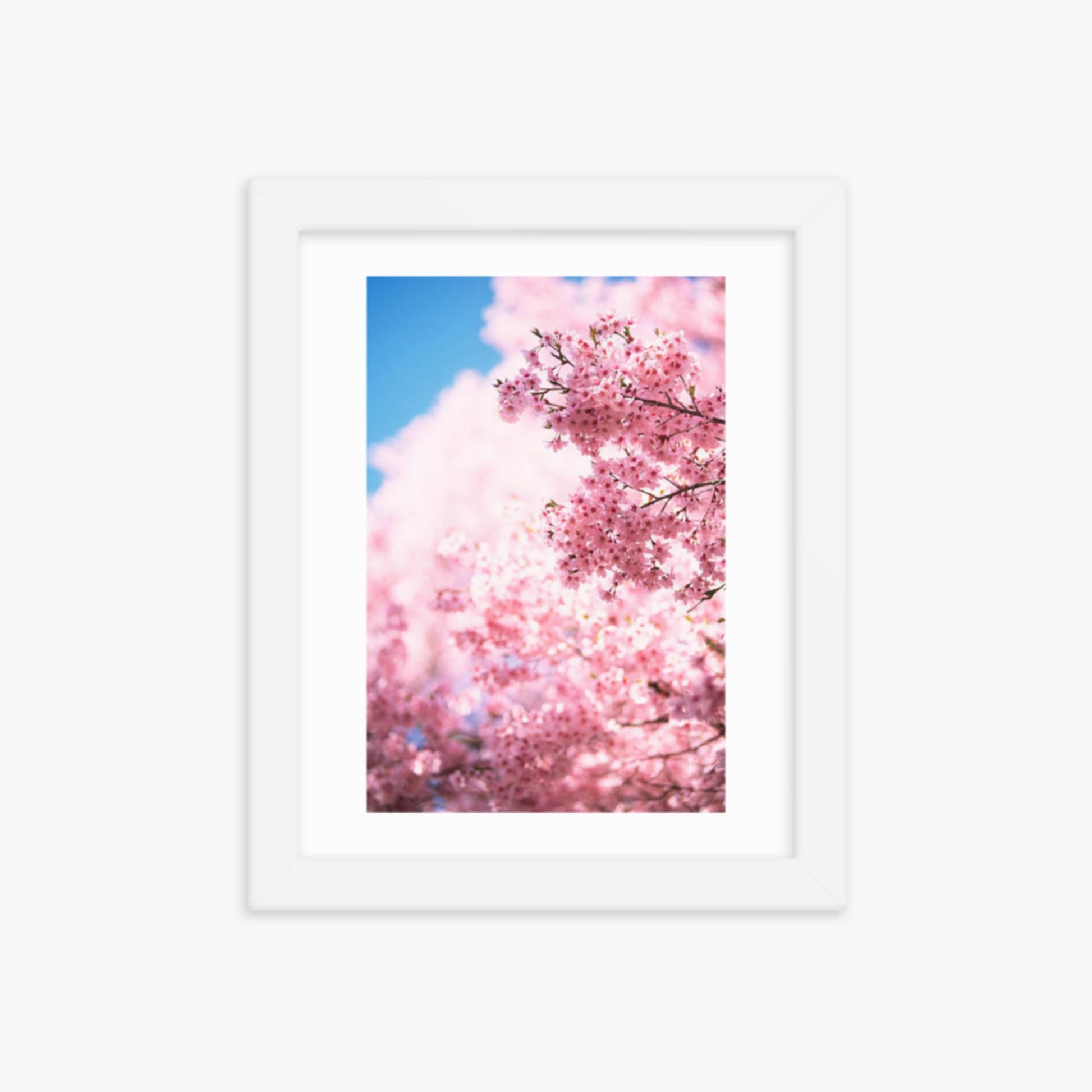 Cherry Blossoms 2 8x10 in Poster With White Frame