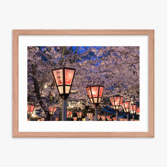 Lantern in Sakura Festival, Japan 18x24 in Poster With Oak Frame