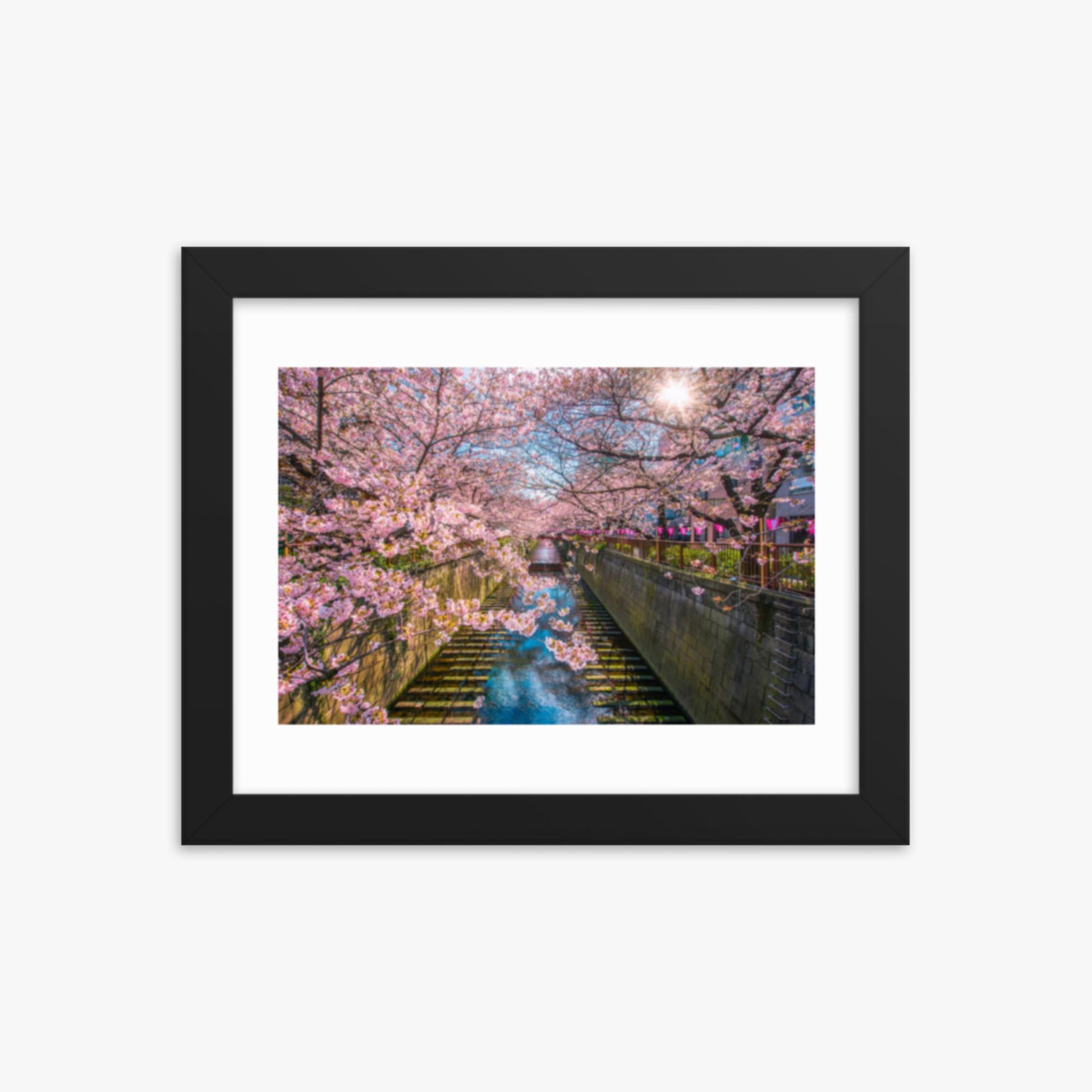 Cherry blossom sakura lined Meguro Canal in Tokyo 8x10 in Poster With Black Frame