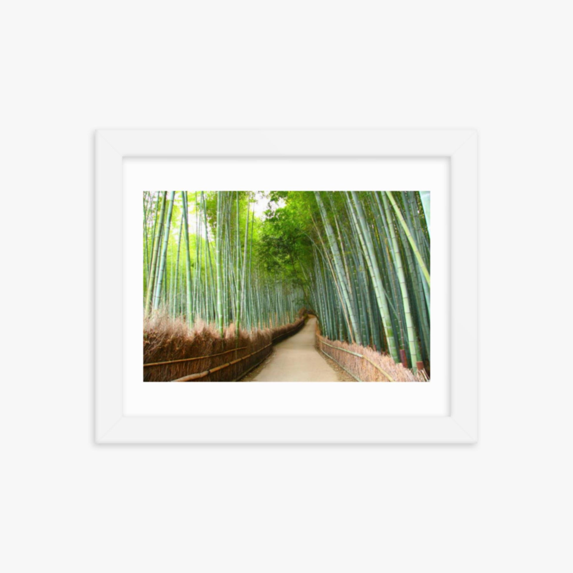 Bamboo grove in Kyoto 8x10 in Poster With White Frame