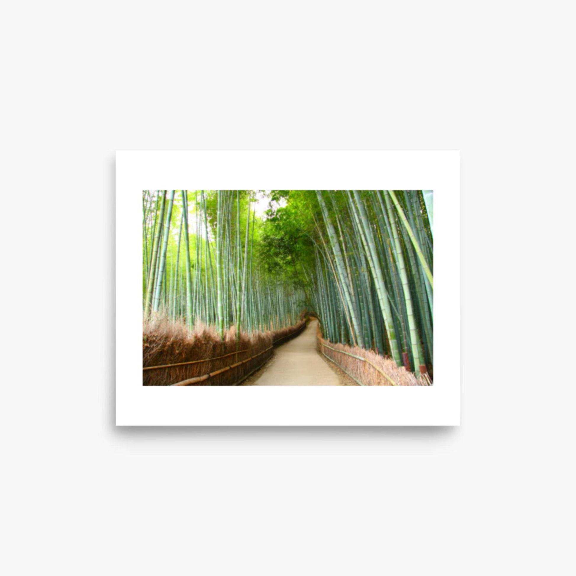 Bamboo grove in Kyoto 8x10 in Poster