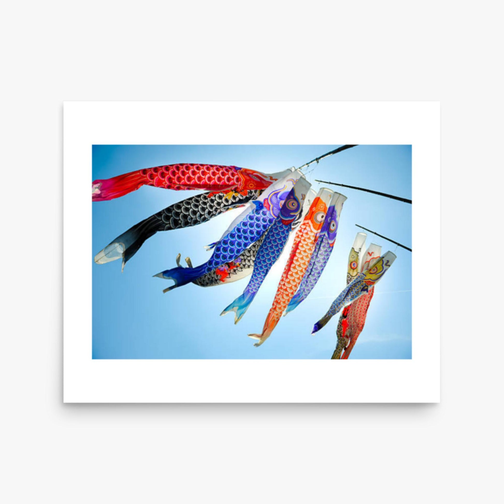 Koinobori 16x20 in Poster