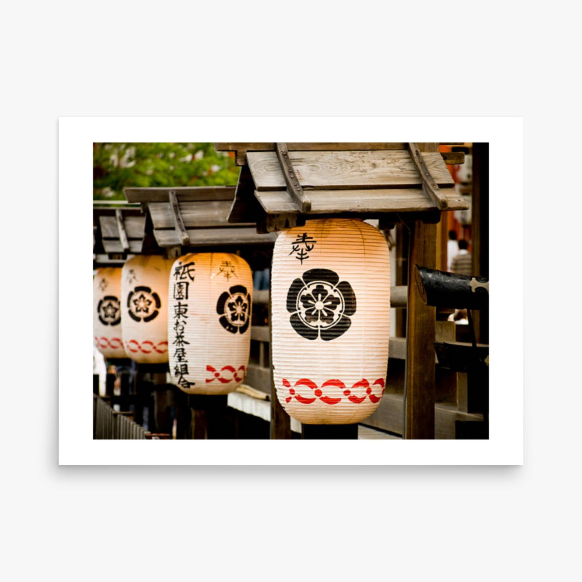 Japanese lanterns 18x24 in Poster