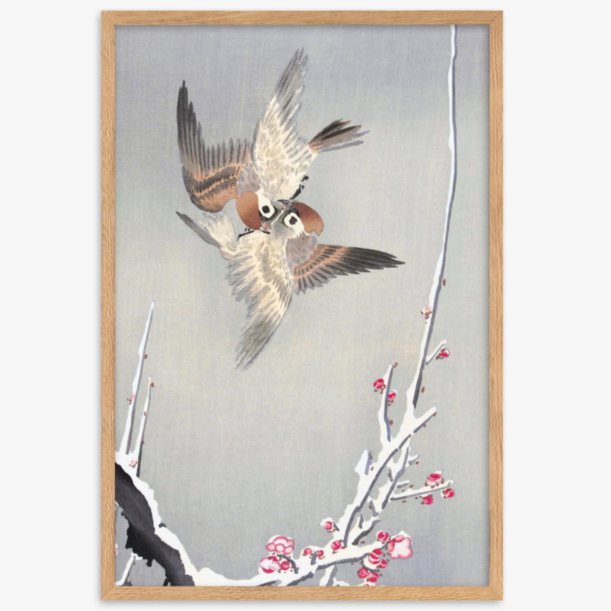 Ohara Koson - Sparrows and Snowy Plum Tree 61x91 cm Poster With Oak Frame