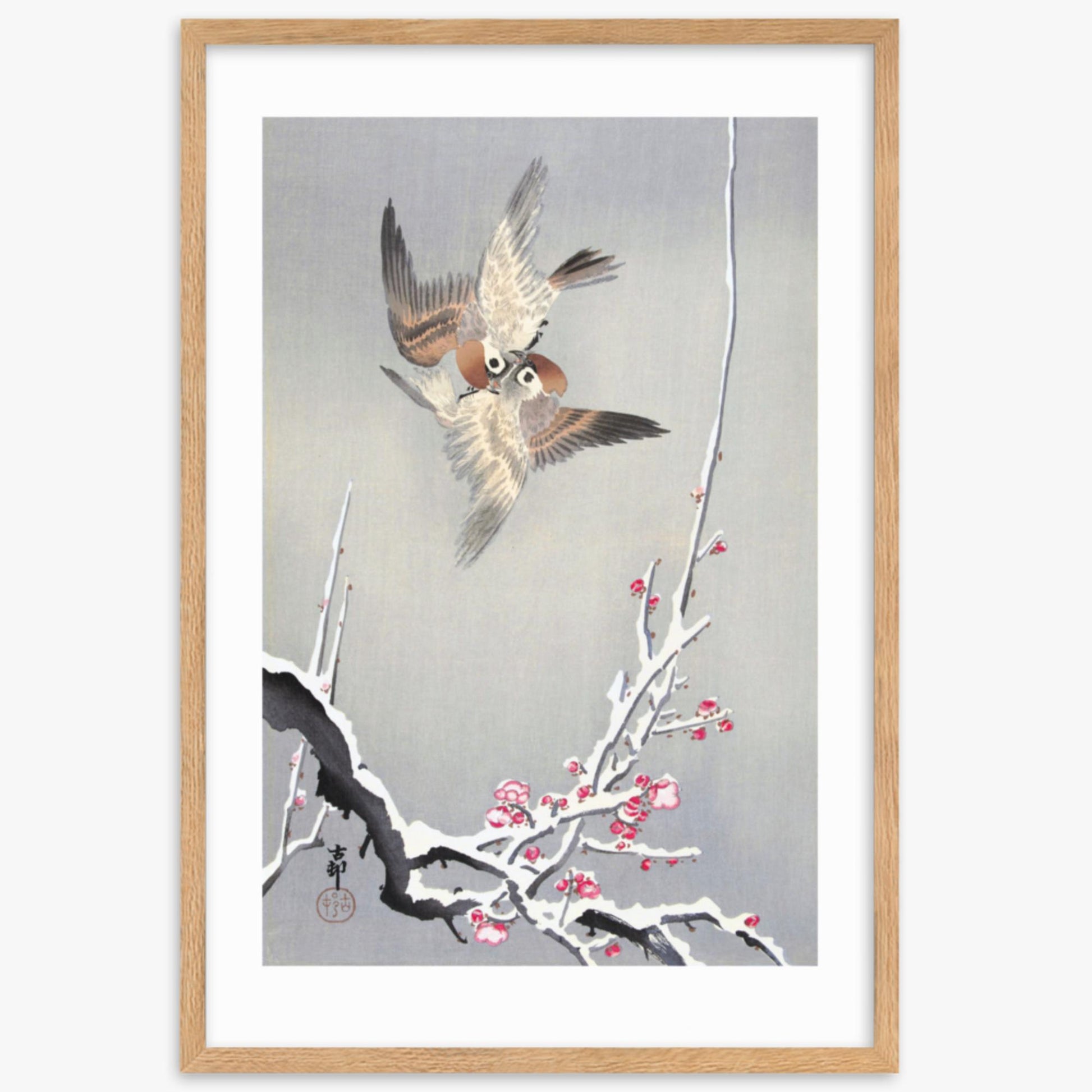 Ohara Koson - Sparrows and Snowy Plum Tree 61x91 cm Poster With Oak Frame