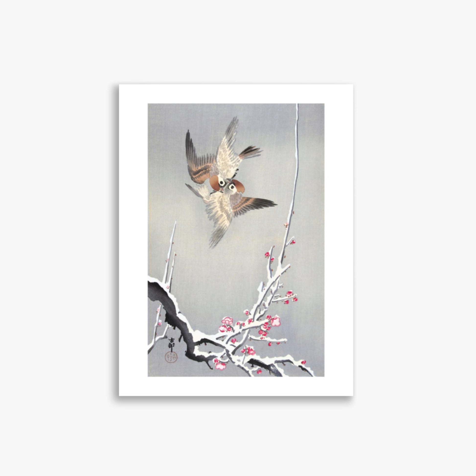 Ohara Koson - Sparrows and Snowy Plum Tree 30x40 cm Poster